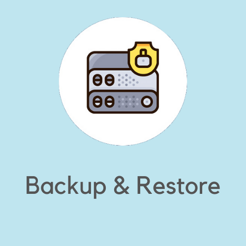 full site backup and restore